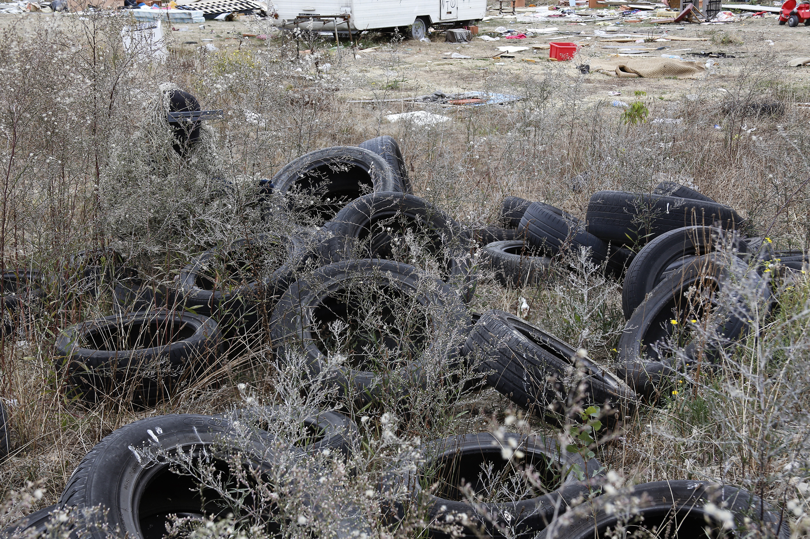 Grande image du caméléon_2 camouflé 6