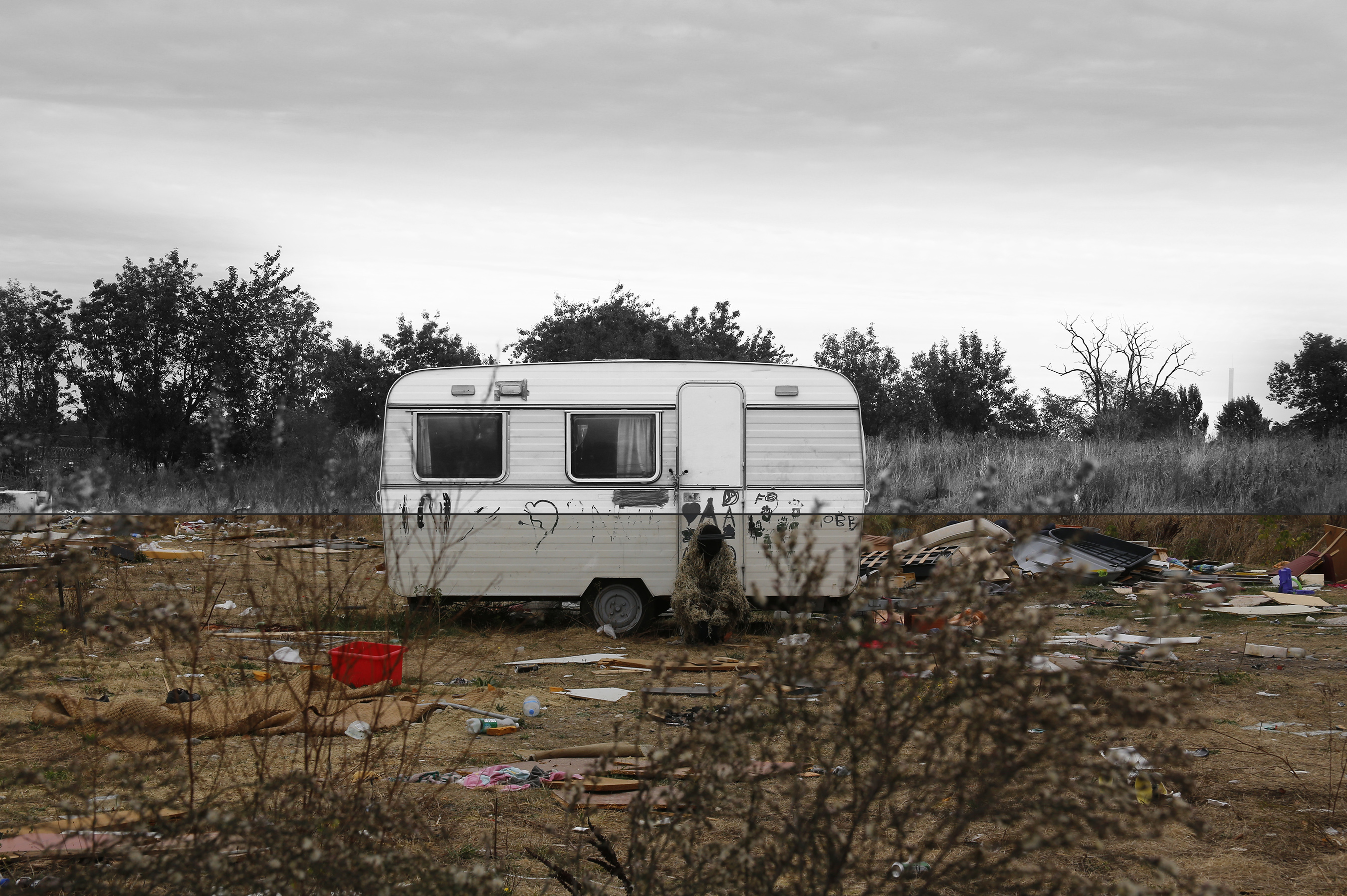 Grande image du caméléon_2 camouflé 10