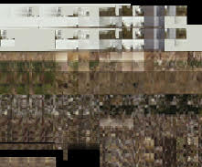 glitch caméléon_2 6