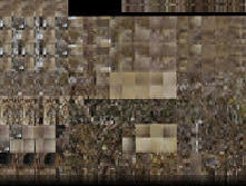 glitch caméléon_2 7