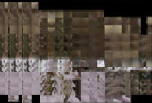 glitch caméléon_2 10