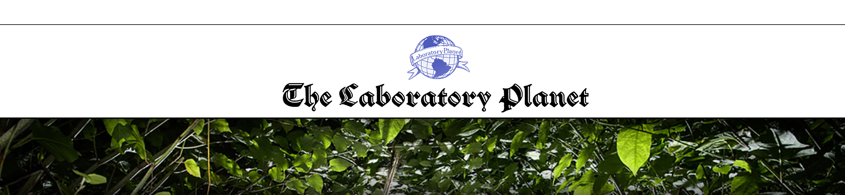 Photo d'une rivière.