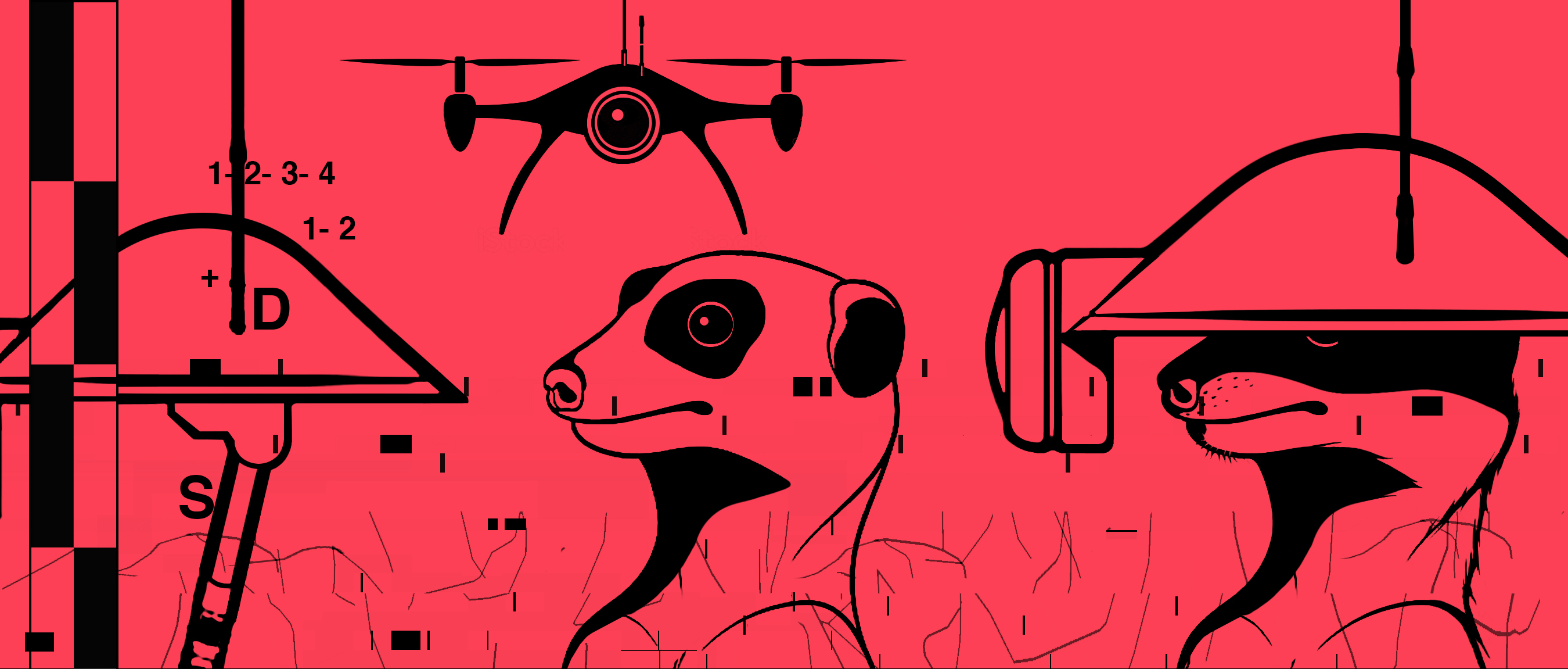 Personnages Droids et Suricates