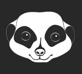 Image de la tête d'un suricate